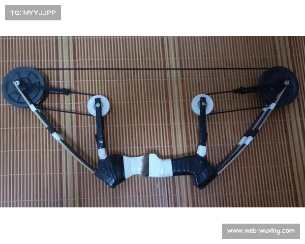 中国复合弓器材研发取得突破 自研省力滑轮组成功通过国际认证